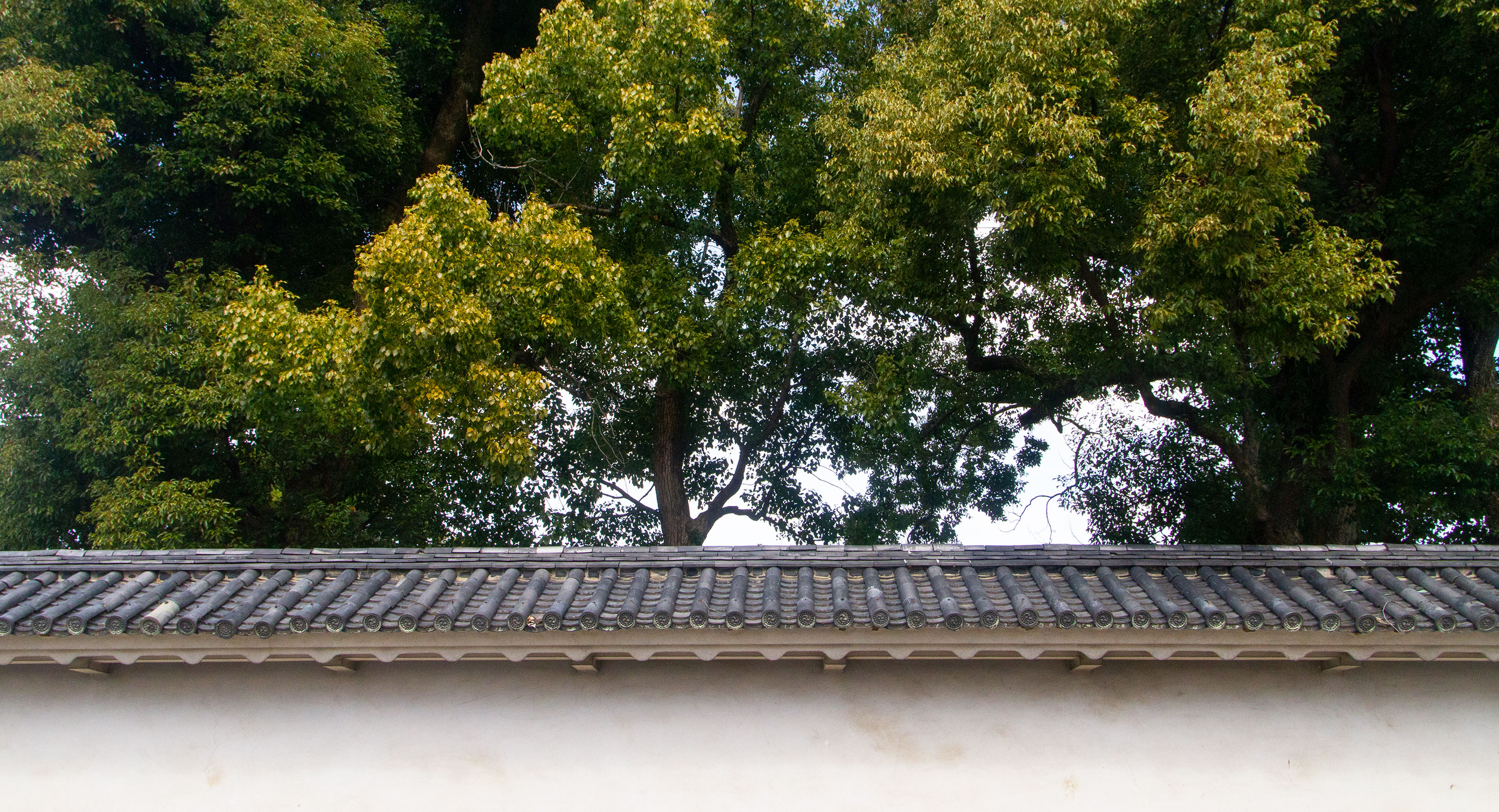 Nijō Castle wall