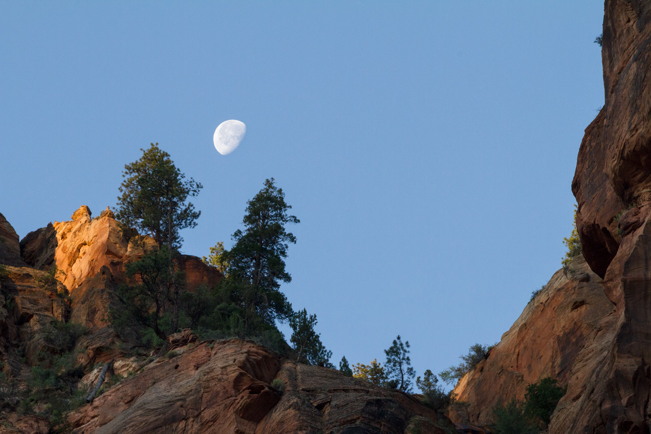 Moon setting in Zion