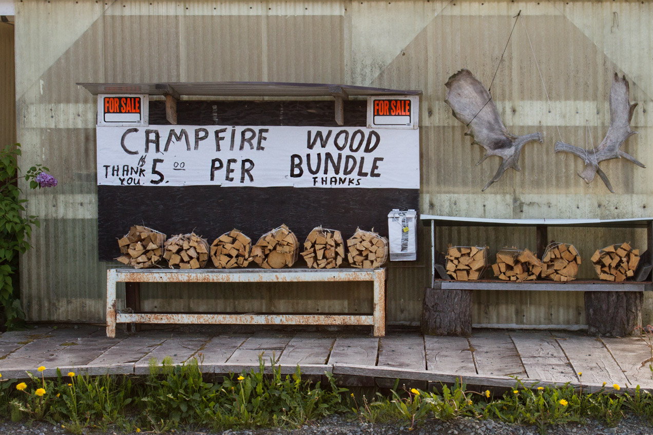 Campfire wood