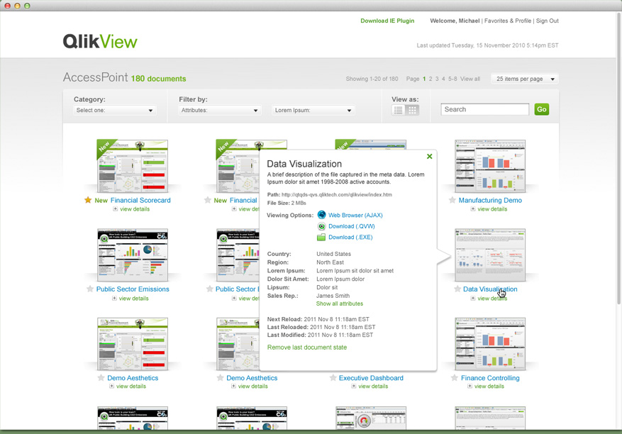 Qlik Access Point page