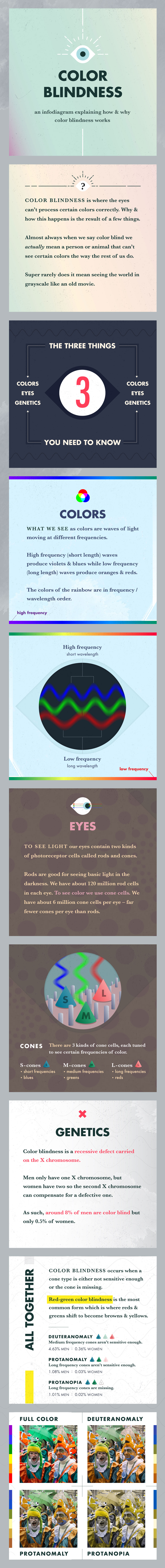 Color Blindness info diagram